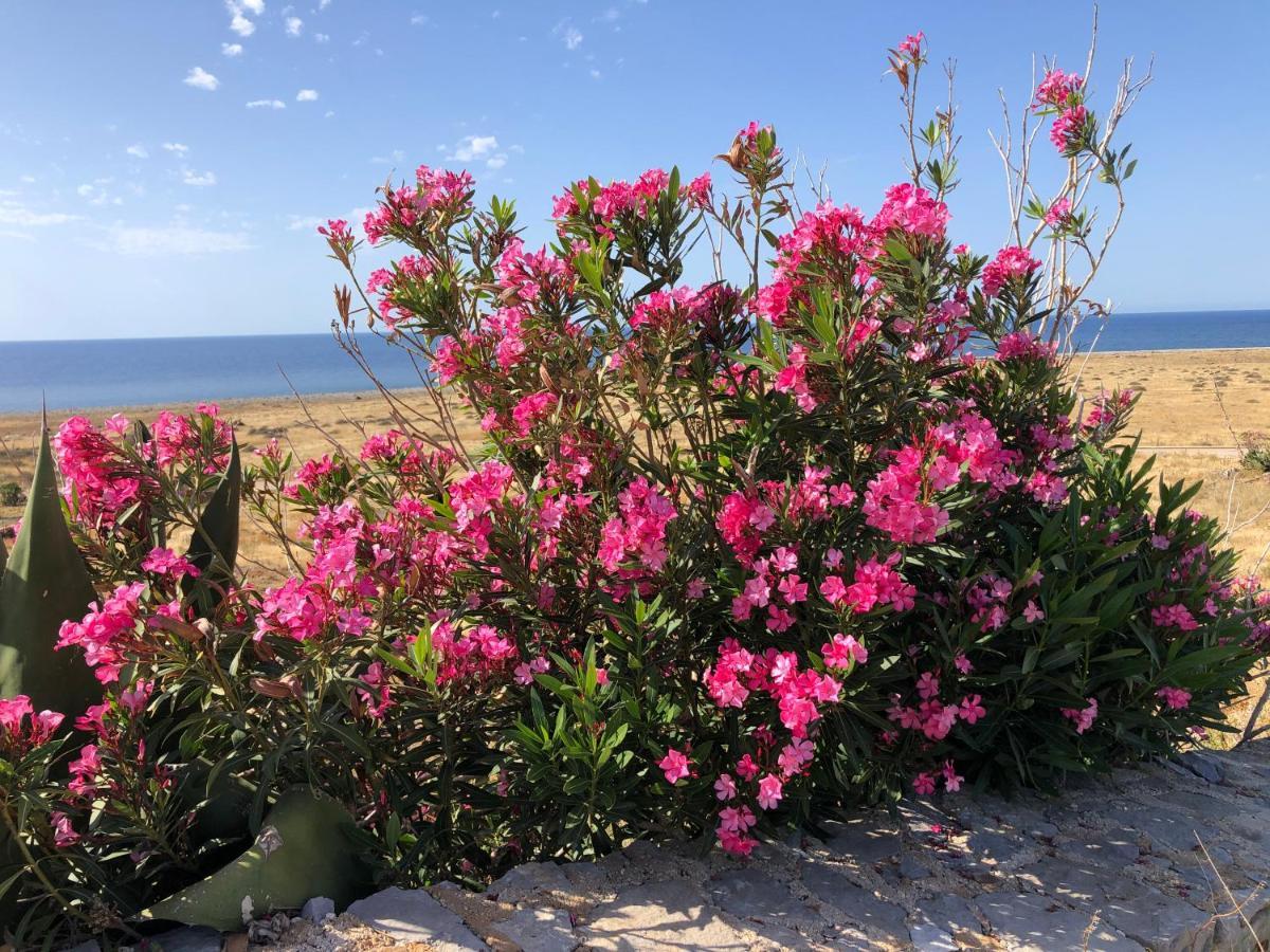 Casetta Calamancina San Vito Lo Capo Buitenkant foto